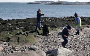 Kids playing on the beach