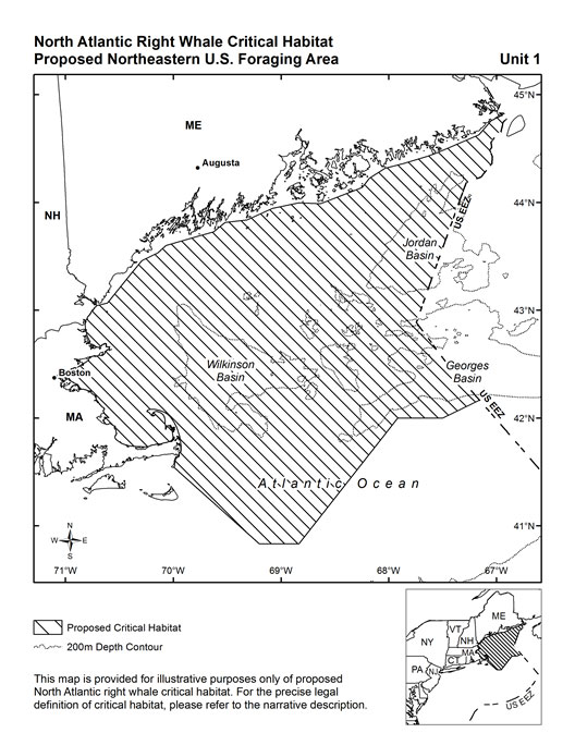 New right whale critical habitat